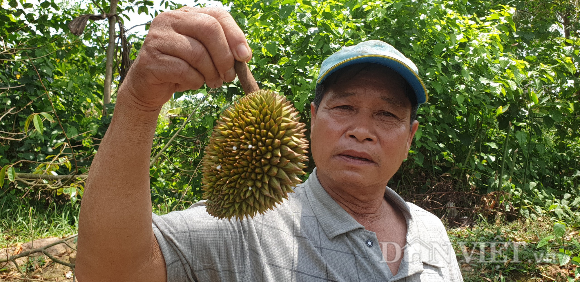 Bến Tre: Chôm chôm tới ngày thu hoạch mà không ai mua - Ảnh 7.