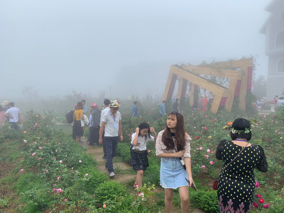 Sa Pa kích cầu du lịch và đón nhận kỷ lục Thung lũng hoa hồng lớn nhất Việt Nam
 - Ảnh 2.