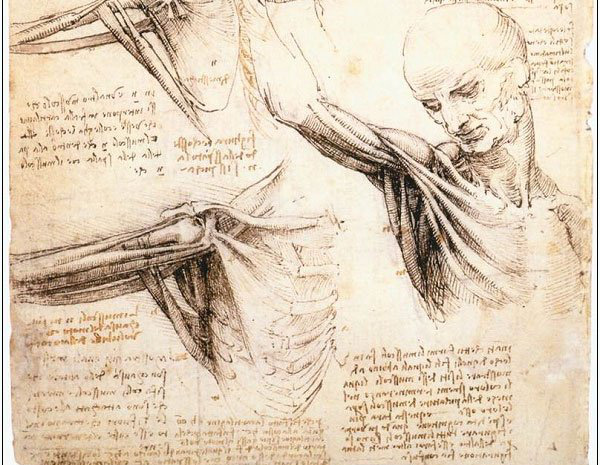 Những Thiết Kế Vượt Thời Gian Của Leonardo Da Vinci