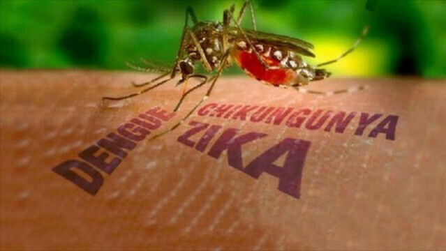 Đà Nẵng thông tin về trường hợp mắc virus Zika đầu tiên trong năm - Ảnh 1.