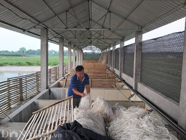 Hàng chục hộ dân “méo mặt” vì chiêu lừa của HTX Ngọc Đăng - Ảnh 2.