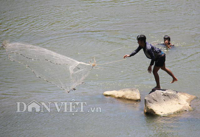 Quảng Ngãi: &quot;Tam vương&quot; của loài cá suối ngon, hiếm cỡ mà nhiều người tìm mua đến vậy?  - Ảnh 5.