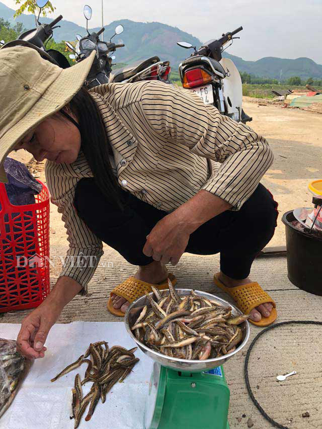 Quảng Ngãi: &quot;Tam vương&quot; của loài cá suối ngon, hiếm cỡ mà nhiều người tìm mua đến vậy?  - Ảnh 6.