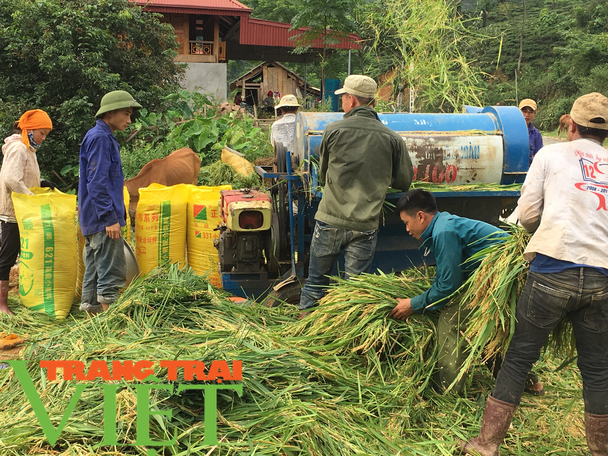 Vân Hồ xây dựng nông thôn mới gắn với phát triển kinh tế - xã hội - Ảnh 5.