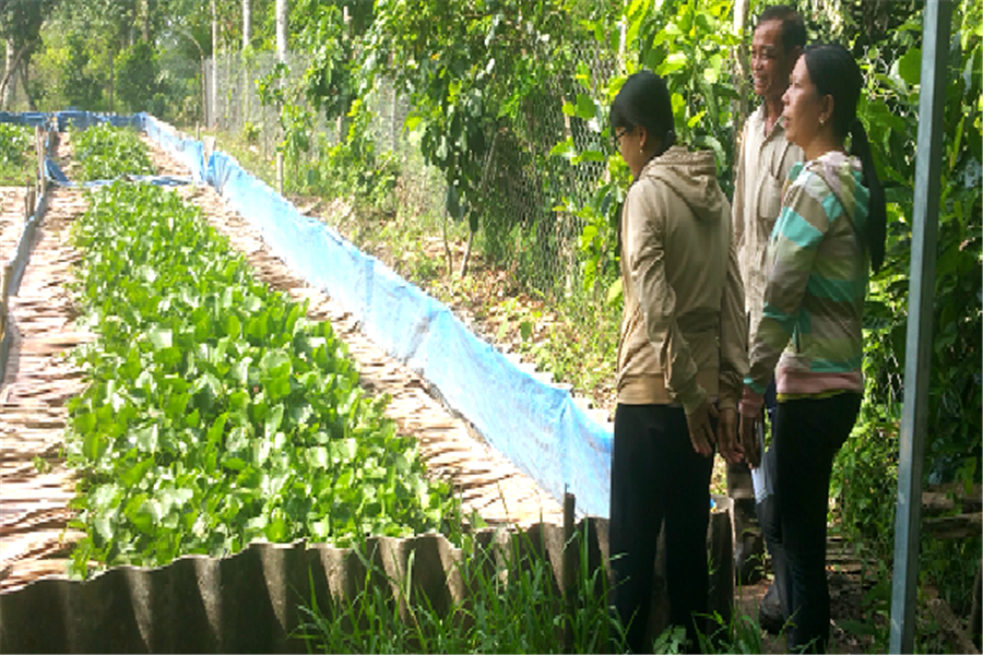 Hậu Giang: Làm chuồng nuôi nhung nhúc lươn không bùn, người các tỉnh tấp nập tới mua - Ảnh 1.