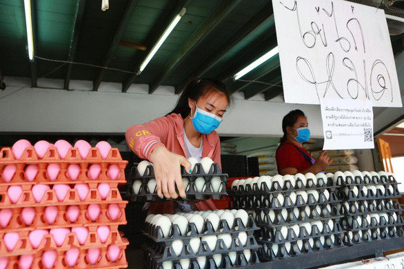 Thái Lan cho phép xuất khẩu trứng gà trở lại - Ảnh 1.