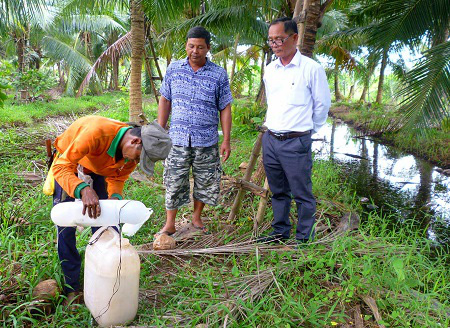 Trà Vinh: Bí kíp trồng dừa chưa kịp ra trái đã &quot;hái&quot; ra tiền - Ảnh 3.