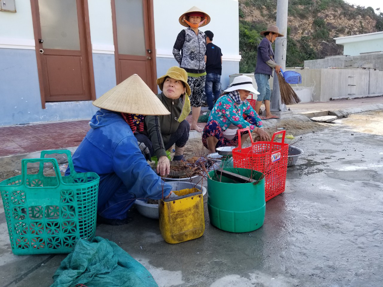 Thả lưới ở rạn san hô chết, ai ngờ trúng đậm mẻ cá chuồn bay, tôm hùm biển - Ảnh 3.