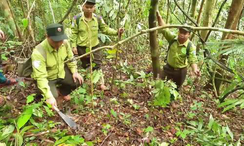 Đội tuần tra tháo bẫy thú rừng - Ảnh 5.