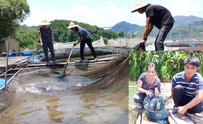 Nuôi nhốt toàn cá đặc sản quý hiếm, có loài xưa ví như &quot;thủy quái dòng sông&quot;, dân ở đây đổi đời - Ảnh 1.