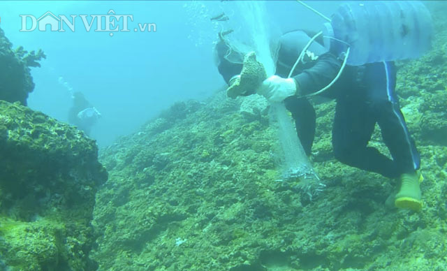 Quảng Ngãi: Nghề săn cá cảnh biển của ngư dân ở đảo du lịch  - Ảnh 1.