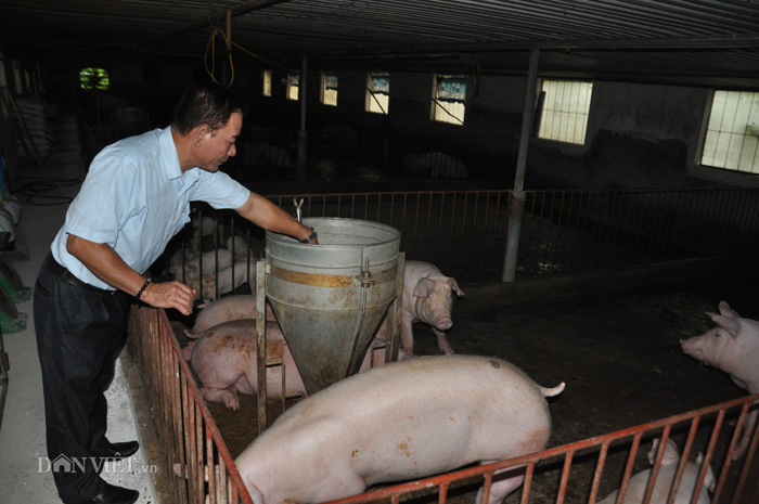 Bộ trưởng Nguyễn Xuân Cường: Sẽ hỗ trợ mạnh cho nông hộ tái đàn lợn - Ảnh 2.