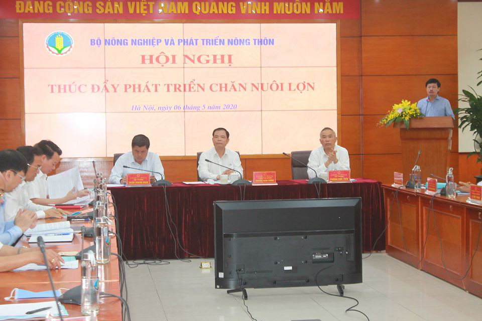 Bộ trưởng Nguyễn Xuân Cường: Sẽ hỗ trợ mạnh cho nông hộ tái đàn lợn - Ảnh 1.