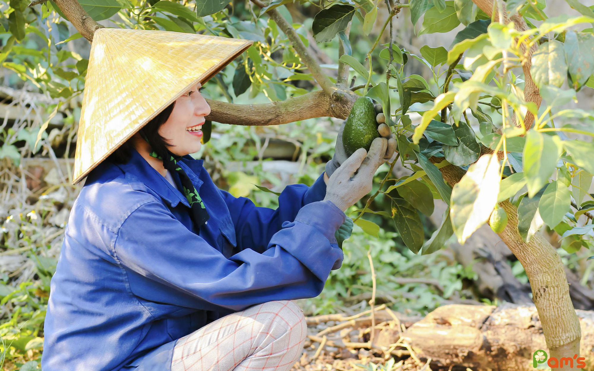 Ban đầu bị kêu là 'khùng', ai ngờ hotgril Đắk Lắk lại làm ra mỹ phẩm từ trái bơ