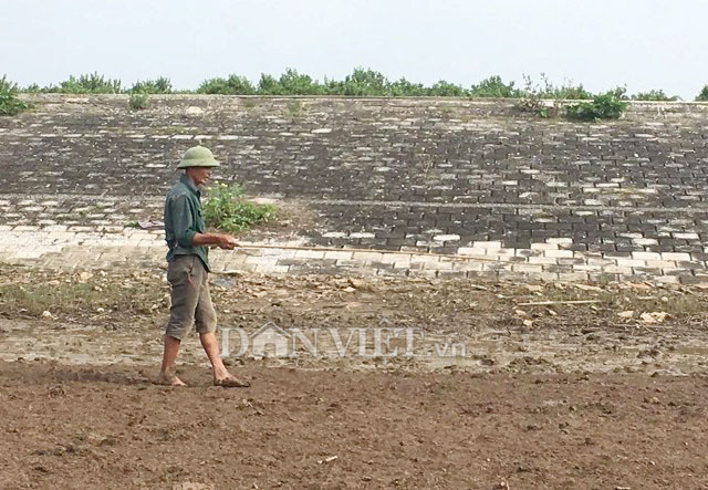 Con cụng là loài gì mà dân ở đây dùng gậy tre dài hơn 3m để bắt? - Ảnh 2.