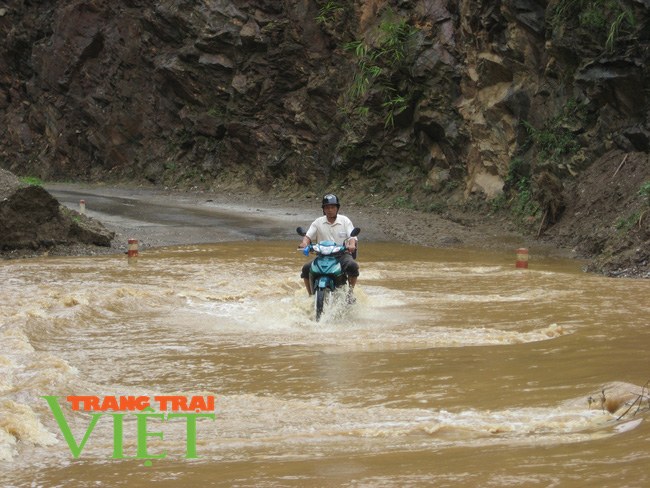 Tôi về làm báo Nông Thôn Ngày Nay như thế đấy! - Ảnh 1.