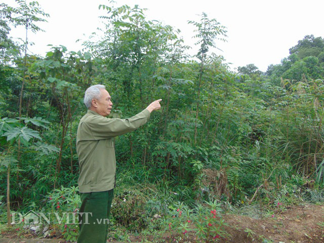 Thái Nguyên: Ký khống hồ sơ để nhận tiền đền bù dự án quốc phòng? - Ảnh 3.