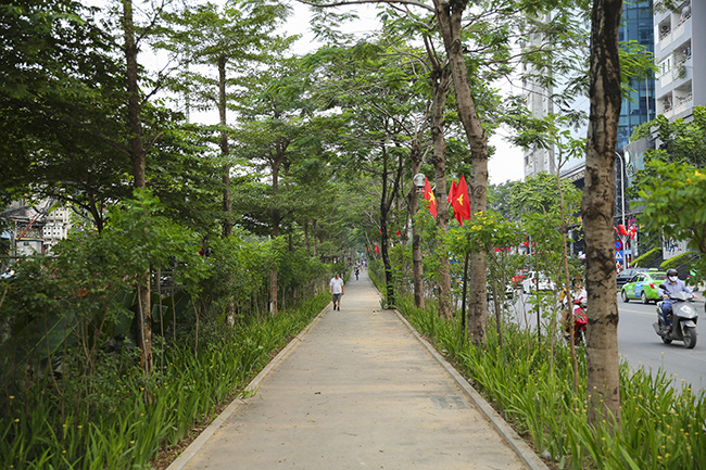 Tuyến đường đi bộ tràn ngập cây xanh mới xuất hiện ở Hà Nội - Ảnh 2.