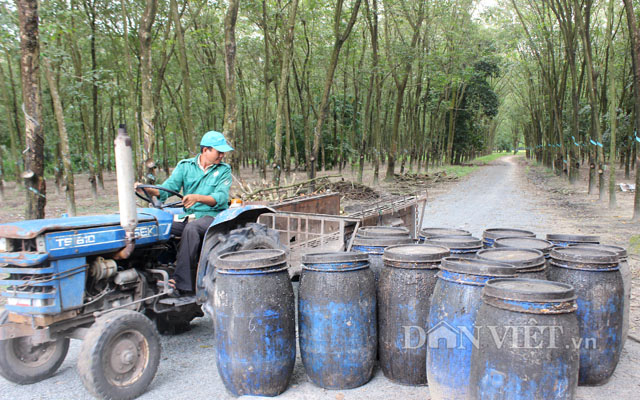 Tiêu thụ ô tô giảm khiến giá cao su tiếp tục ảm đạm - Ảnh 4.