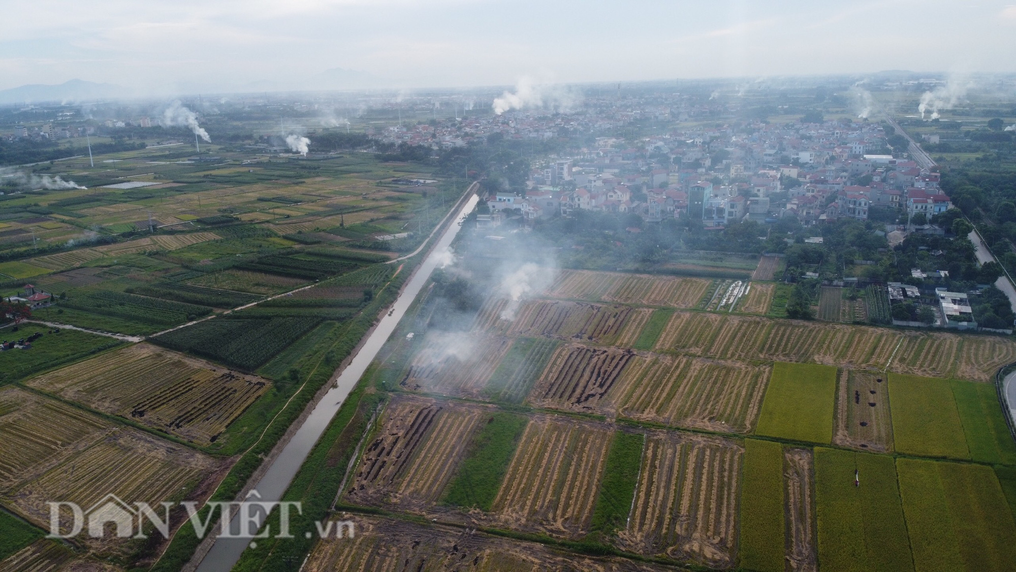 Khói trắng mù mịt bủa vây khu dân cư do người dân đốt rơm rạ - Ảnh 1.