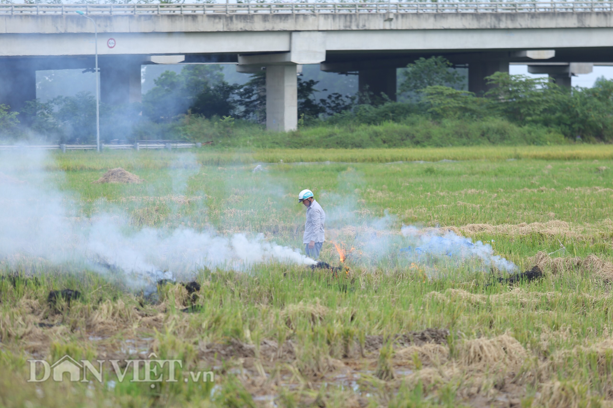 Khói trắng mù mịt bủa vây khu dân cư do người dân đốt rơm rạ - Ảnh 7.