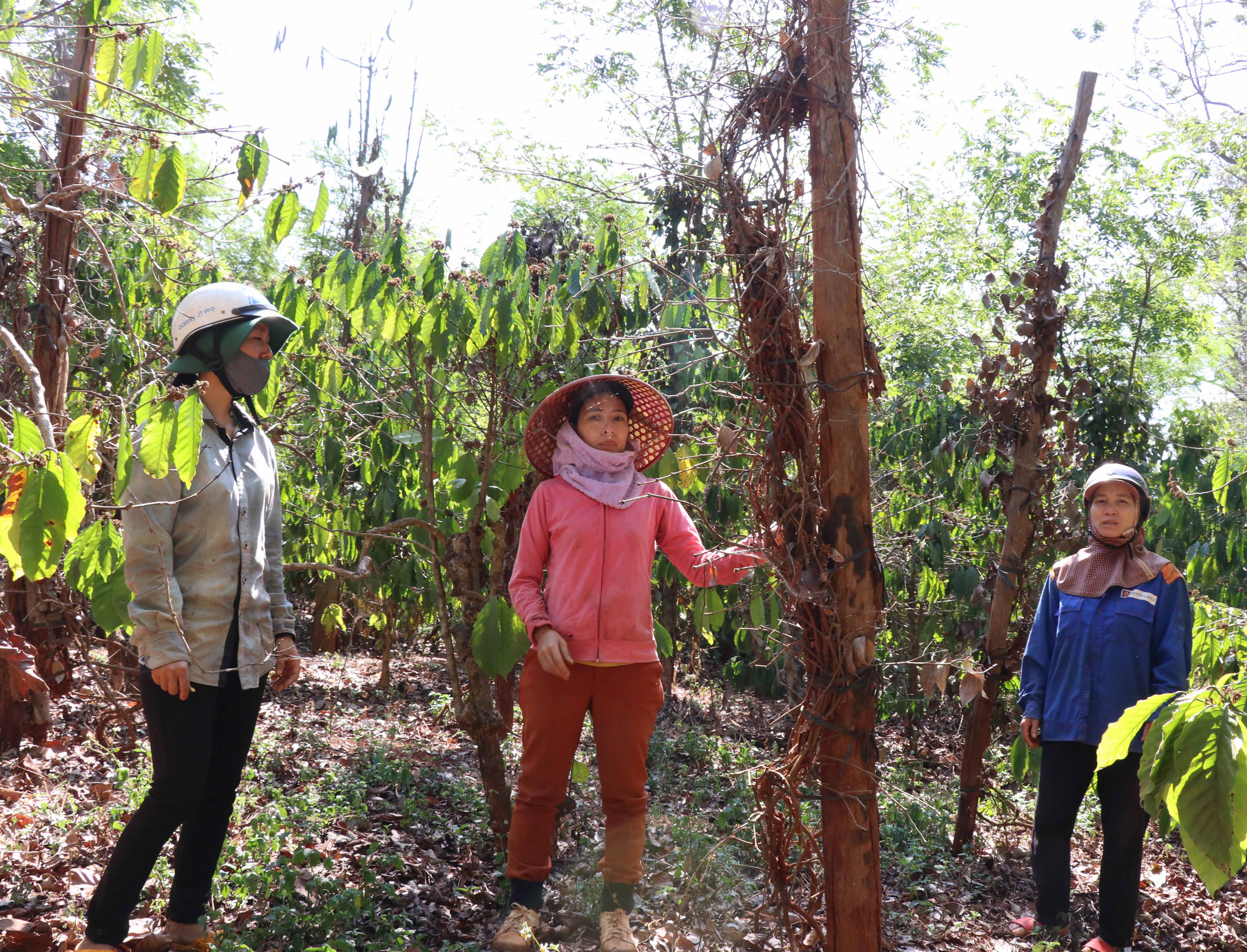 Gia Lai: Tỉnh chỉ đạo, huyện đã chi trả tiền đền bù cho dân - Ảnh 2.