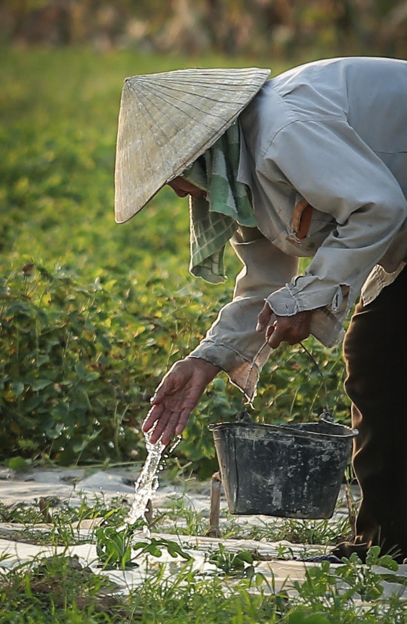 Nghệ An:  nắng nóng hơn 40 độ c người dân oằn mình chống đỡ - Ảnh 3.