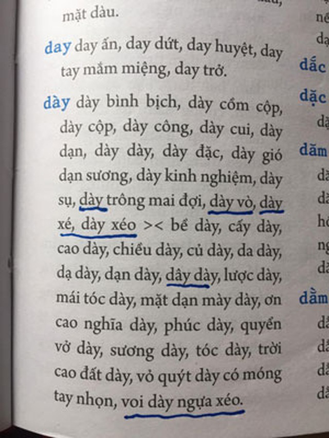 Cục Xuất bản lên tiếng, sẽ thu hồi cuốn &quot;Từ điển chính tả Việt&quot;  - Ảnh 2.