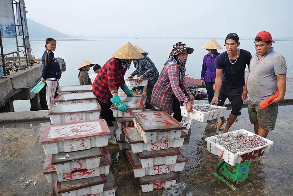 Chùm ảnh: Bình minh trên biển Xuân Yên, Hà Tĩnh - Ảnh 9.