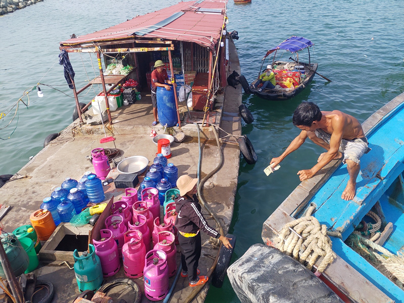 Hải sản ít, đánh bắt khó khăn, ngư dân biển Cô Tô kêu khó. - Ảnh 2.