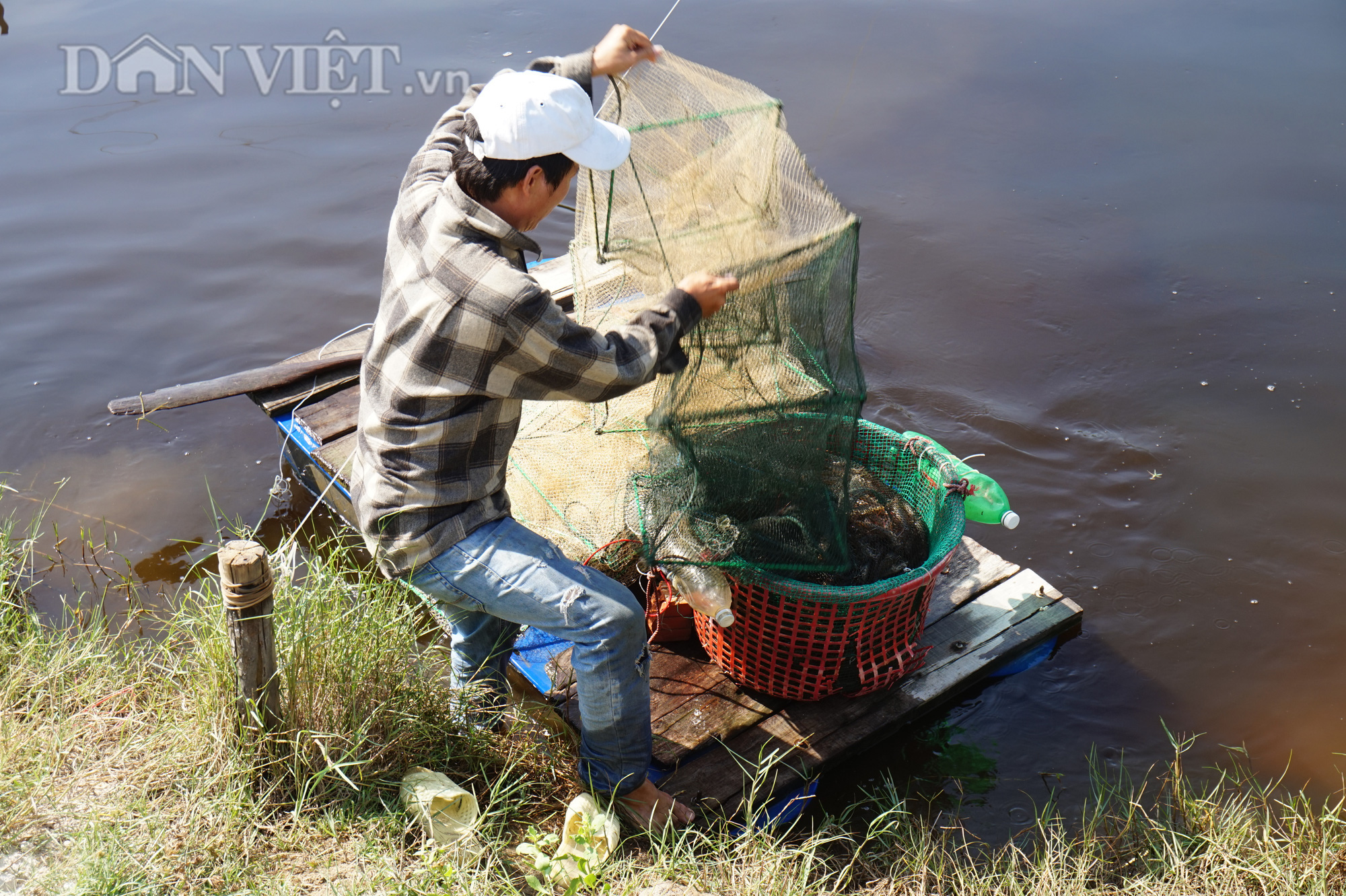 Đà Nẵng: Cả làng “lên đời” nhờ đào ao nuôi tôm, cua và cá - Ảnh 4.