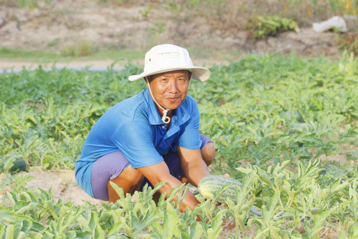 Quảng Bình: Tránh nắng như thiêu đốt, nông dân ra đồng mặt trời đã lặn - Ảnh 2.