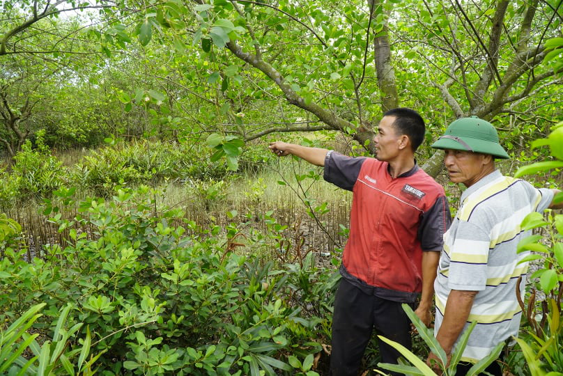 Phó Chủ tịch huyện bị kỷ luật vì vi phạm luật Đất đai, để người thân hưởng lợi tiền tỷ - Ảnh 2.