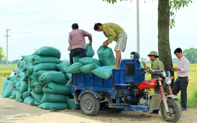 Chàng trai Hà Nội trở thành ông chủ hàng trăm hecta lúa - Ảnh 1.