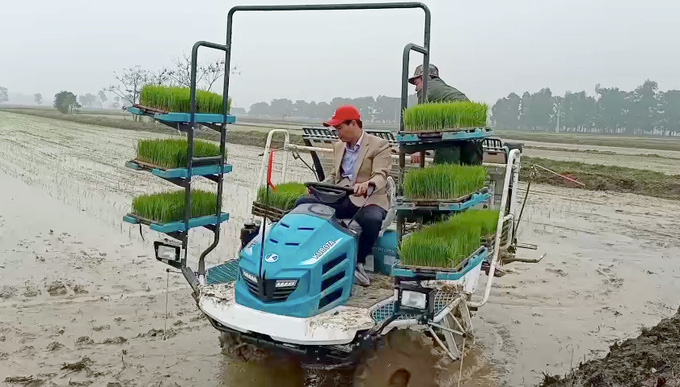 Chàng trai Hà Nội trở thành ông chủ hàng trăm hecta lúa - Ảnh 3.