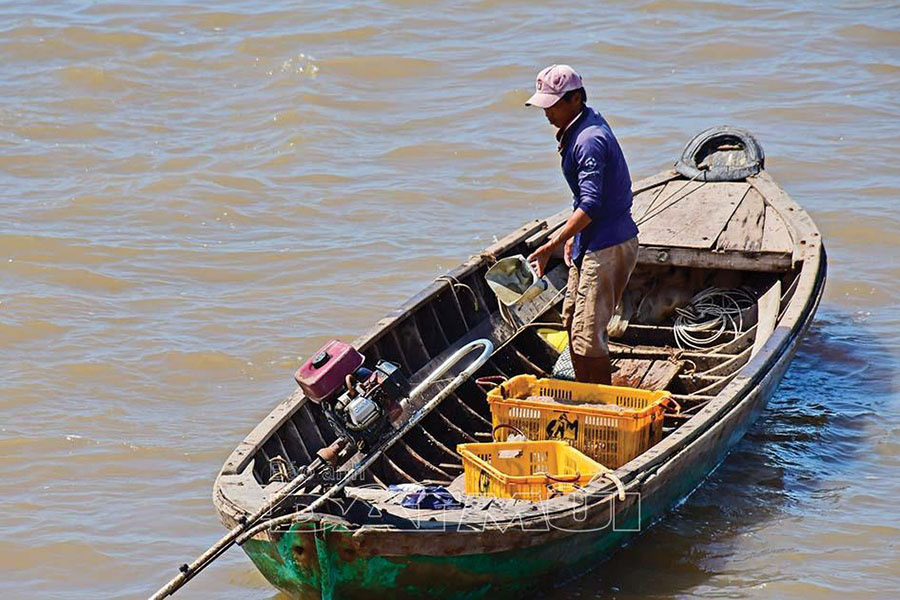 Cà Mau: Đáng ngại nạn bắt sạch tôm, cá gần bờ, &quot;bé không tha già không thương&quot;, nhiều loài biến - Ảnh 1.