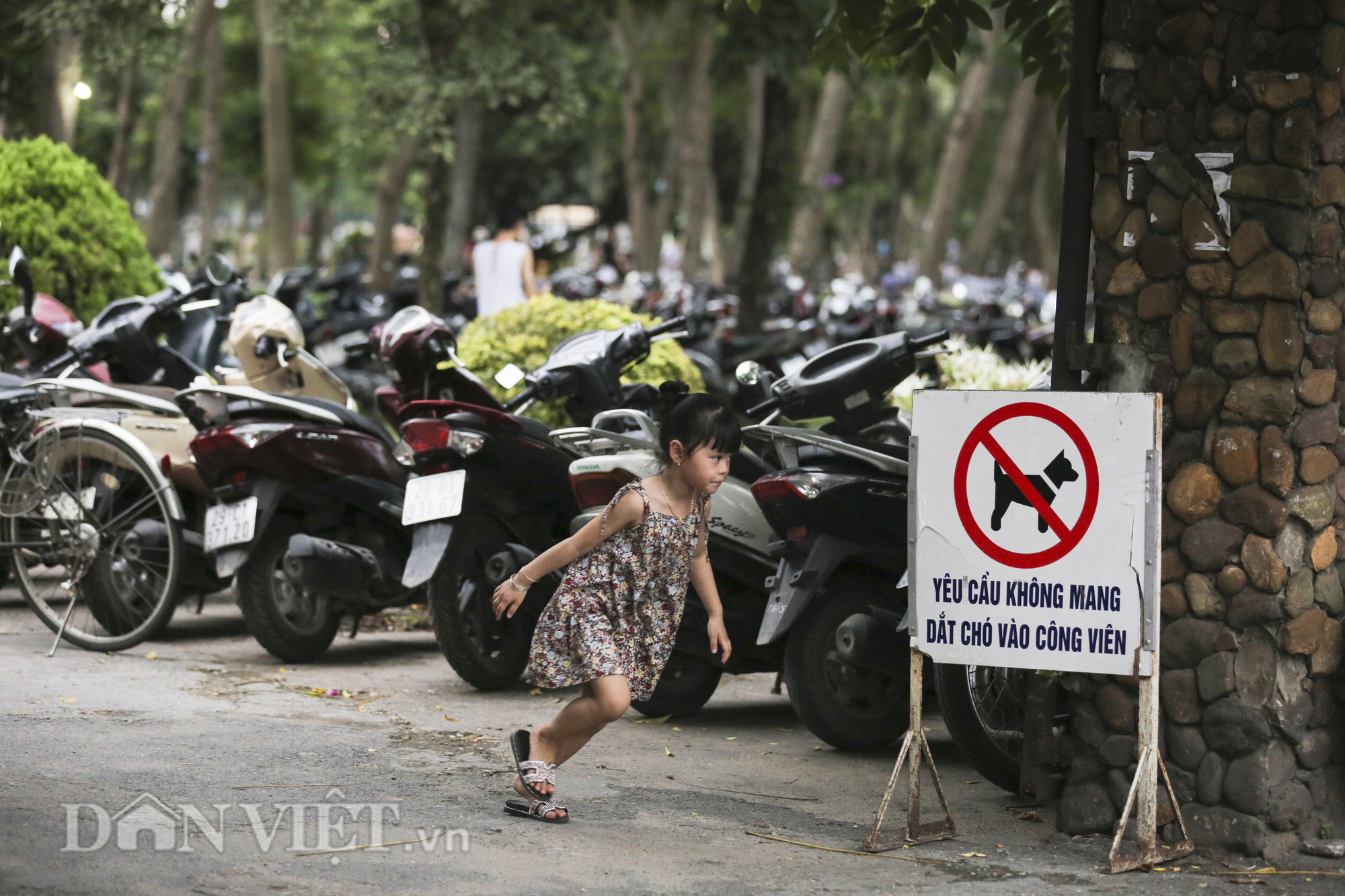 Chó thả rông, không rọ mõm “đại náo” công viên trong mùa bệnh dại - Ảnh 2.