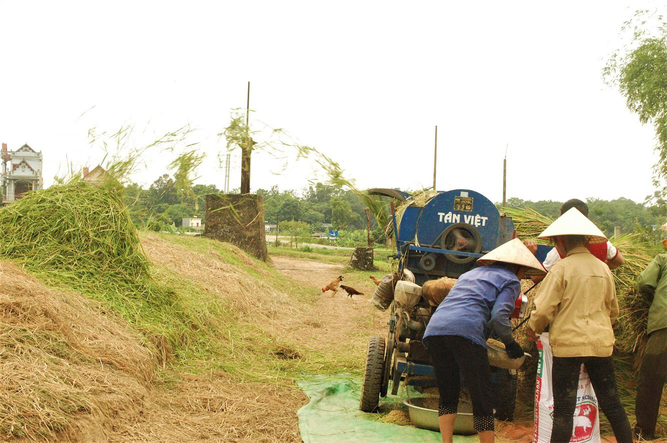 Thứ bỏ đi ở các làng quê, cho không ai lấy giờ &quot;đổi đời&quot; bước lên sàn thương mại điện tử - Ảnh 3.