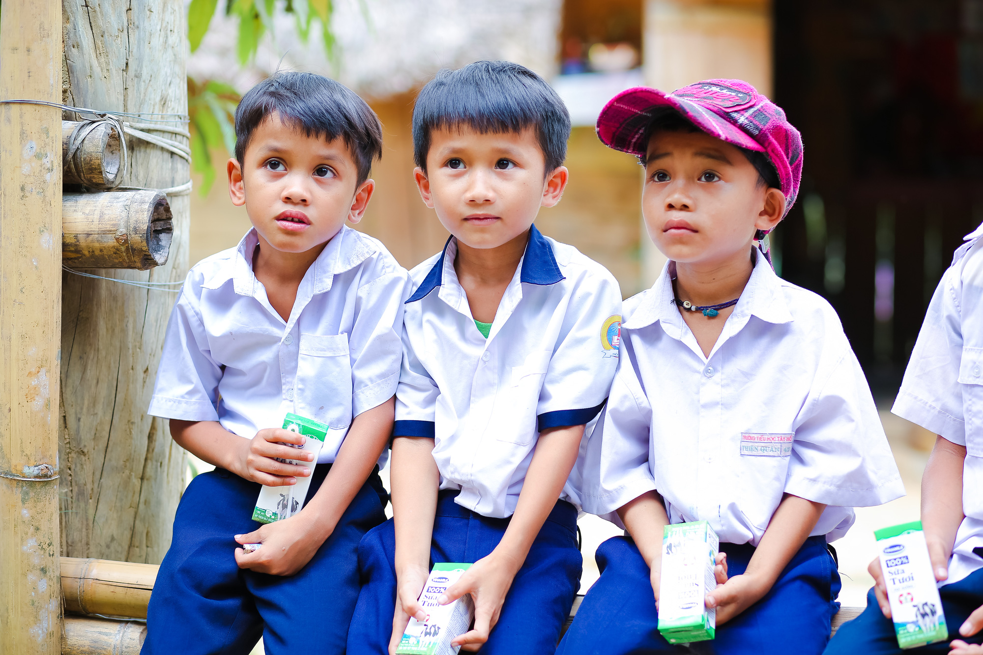 33.000 trẻ em miền núi Quảng Nam được uống sữa miễn phí - Ảnh 2.