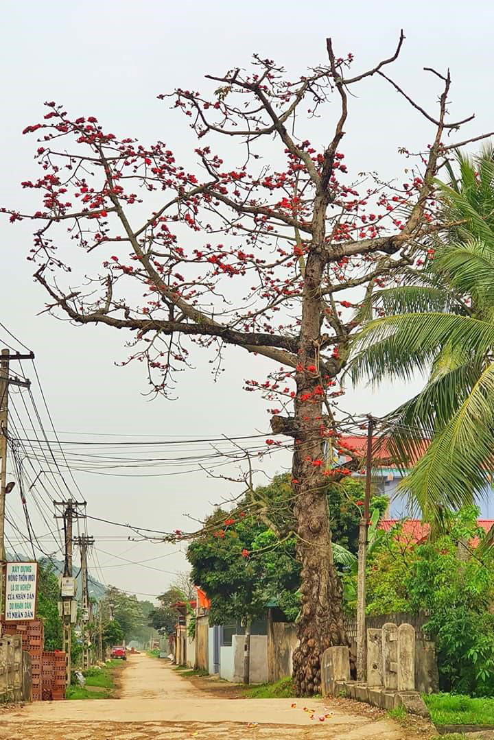 Kể chuyện làng: Kênh làng tôi - Ảnh 3.