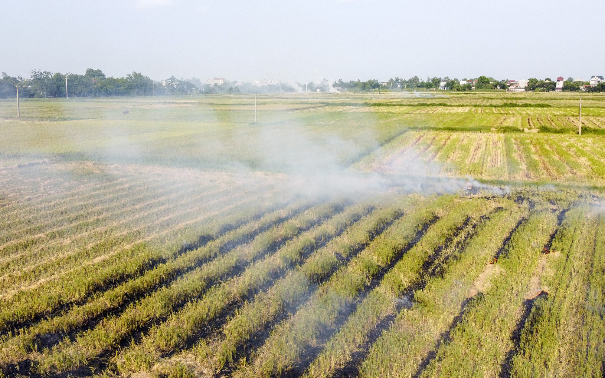 Nông dân lại đốt rơm rạ, khói 'bủa vây' đường cao tốc Hà Nội - Ninh Bình - Ảnh 1.