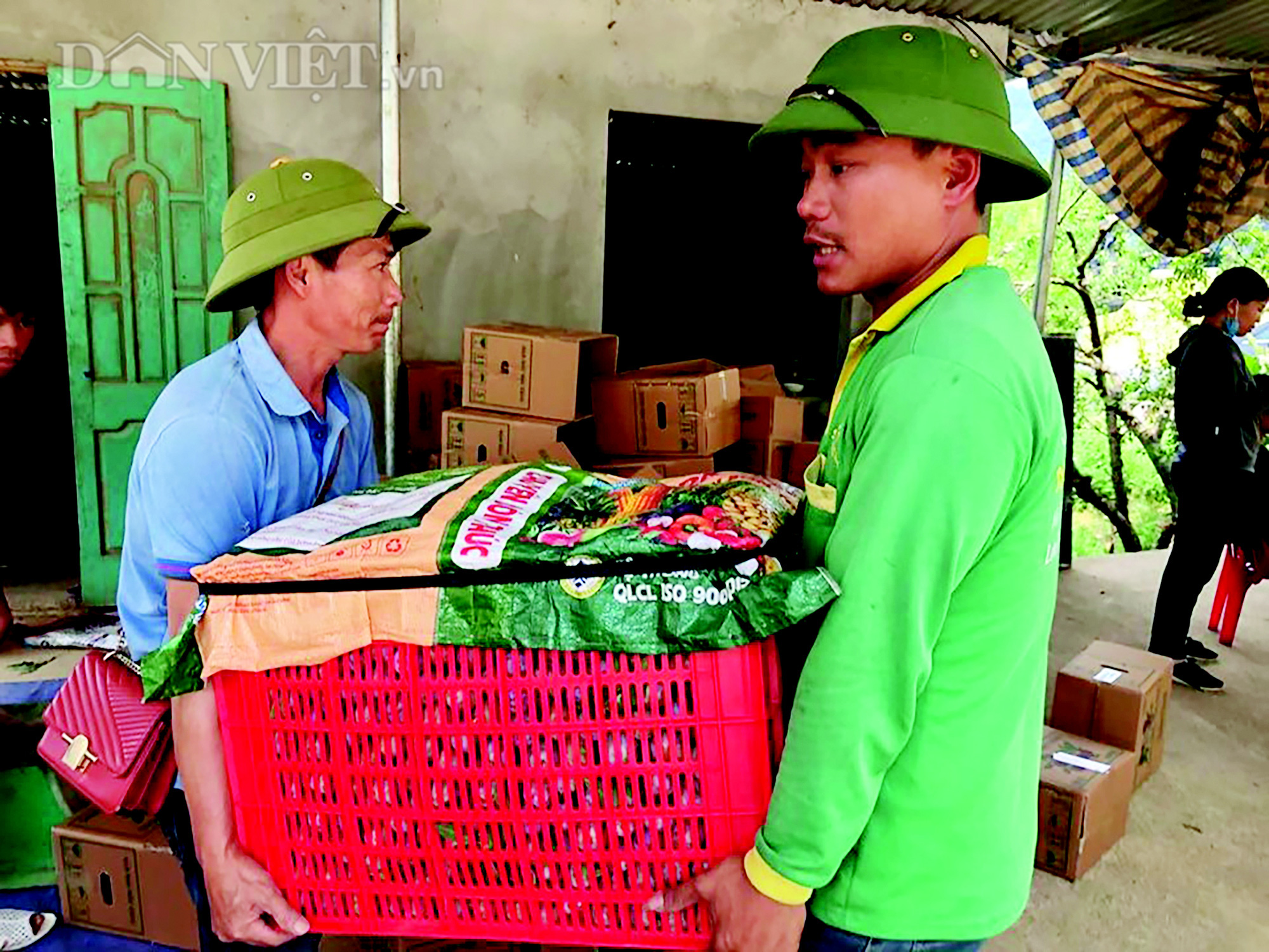 Thung lũng mận Nà Ka chín rộ, khách đổ xô tới hái tận vườn, riêng mận &quot;VIP&quot; thương lái mua hết - Ảnh 4.