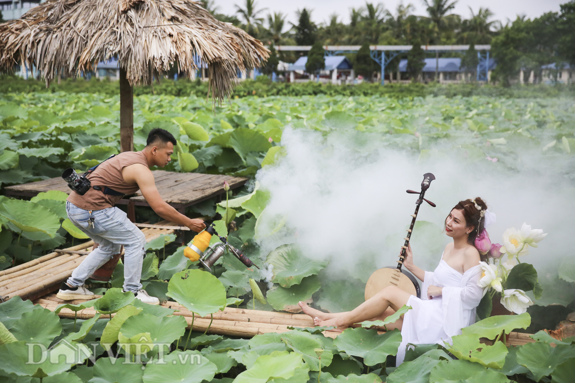 Sen Hồ Tây bung nở, người dân Hà Thành đổ xô tới “khoe sắc” - Ảnh 10.