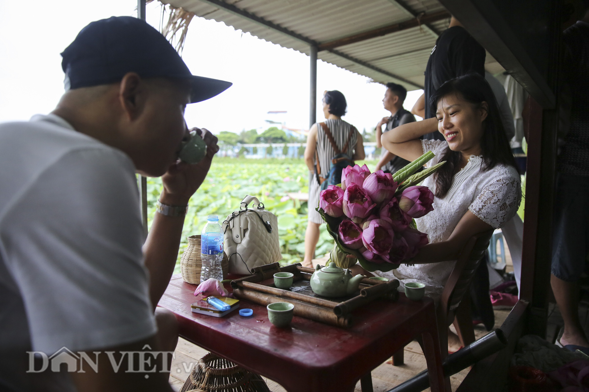 Đi tìm sự thật về loài hoa sen Hồ Tây - Ảnh 4.