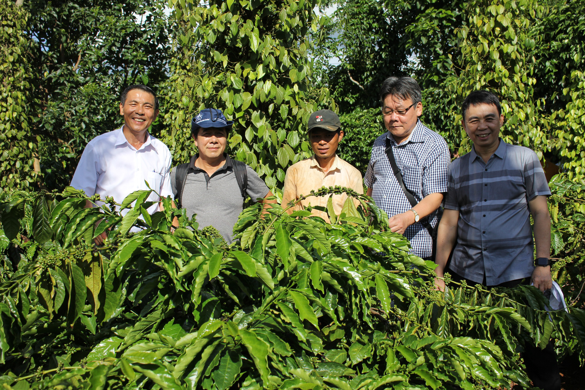 Xây “đại lộ” cho hợp tác công-tư   khuyến nông - Ảnh 1.