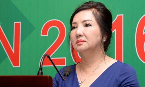 Bà Nguyễn Thị Như Loan chưa sang tên đất cho Quốc Cường Gia Lai - Ảnh 1.