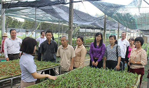 Đào tạo nghề mà không nâng cao được thu nhập là có lỗi với dân - Ảnh 1.