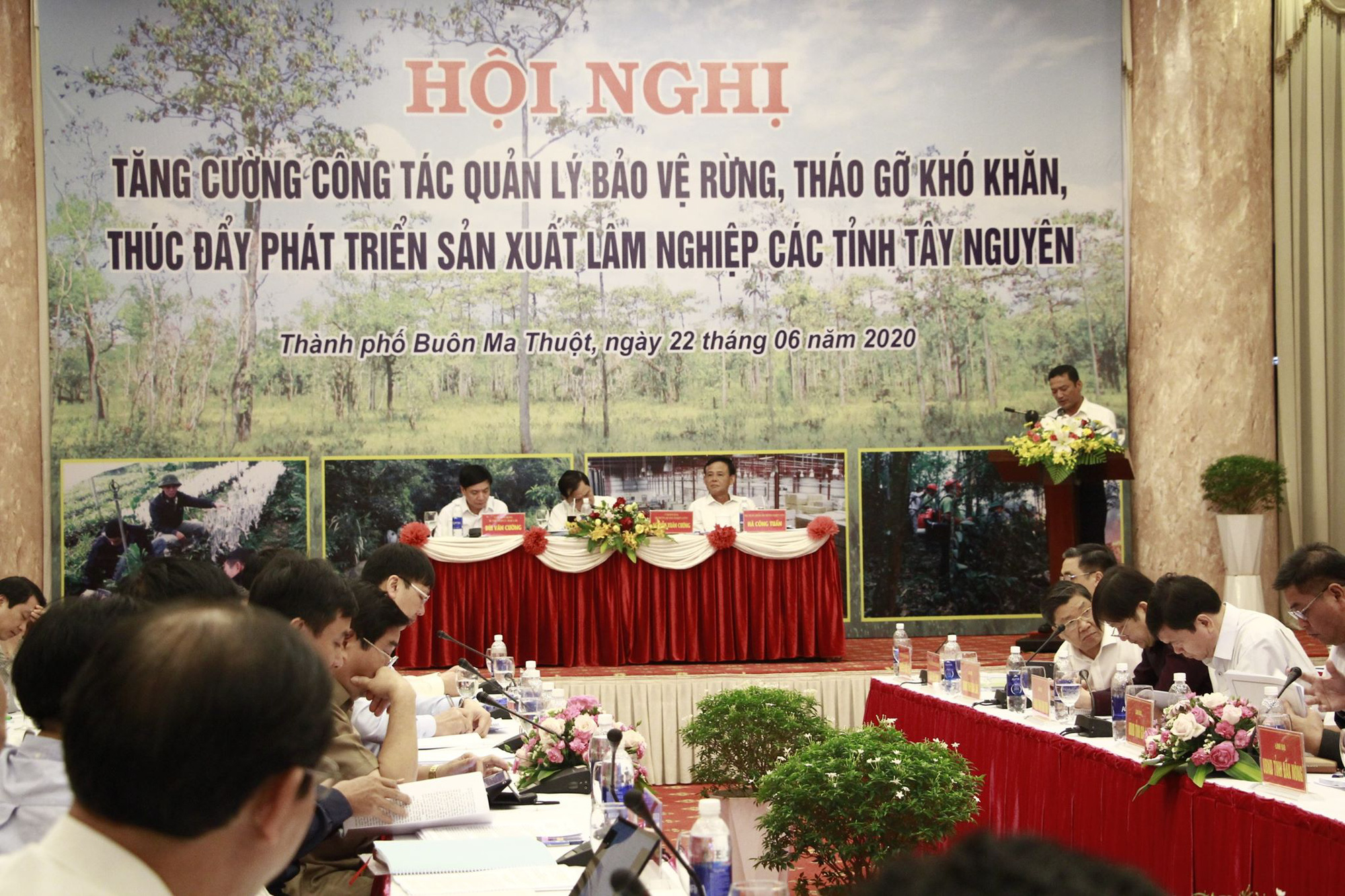 Bộ NNPTNT bàn giải pháp phát triển rừng Tây Nguyên - Ảnh 3.