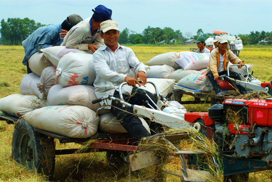 Lái máy cày cũng phải có bằng - Ảnh 1.