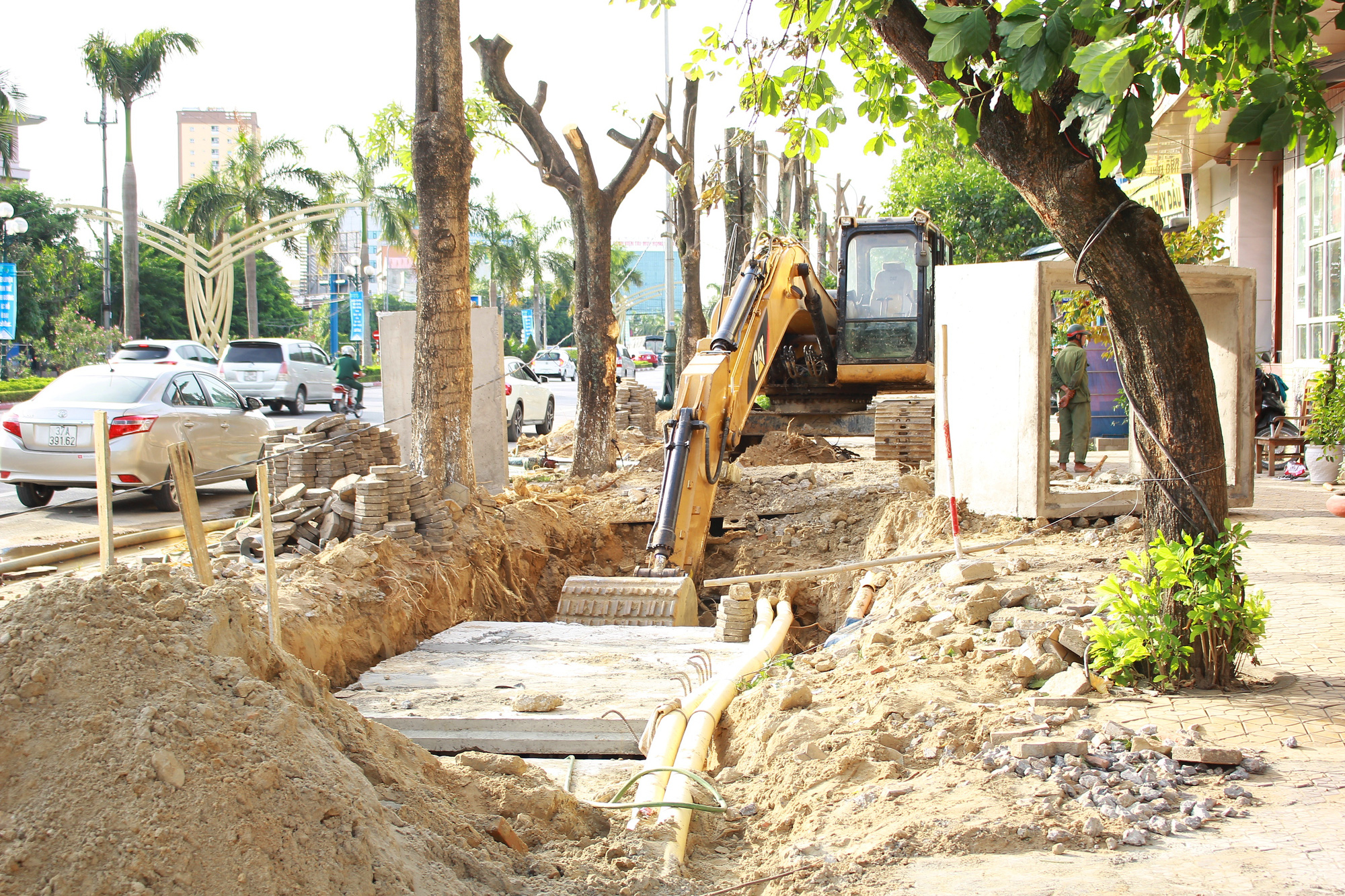 Nghệ An: Hàng loạt cây xanh ở Đại lộ Lê Nin (TP.Vinh) bị cắt “trơ trụi” thời điểm nắng nóng gay gắt - Ảnh 2.